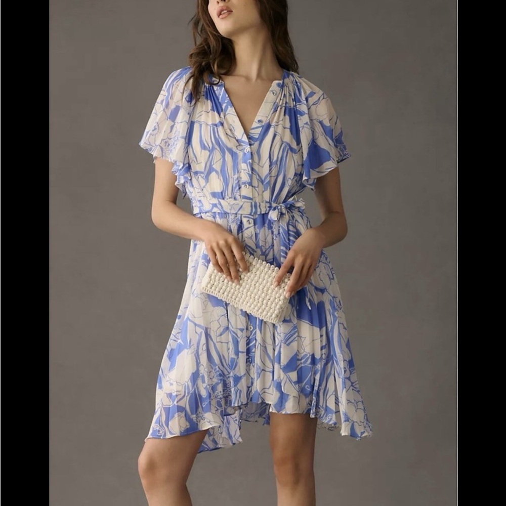 Anthropologie Blue and Cream Floral Dress